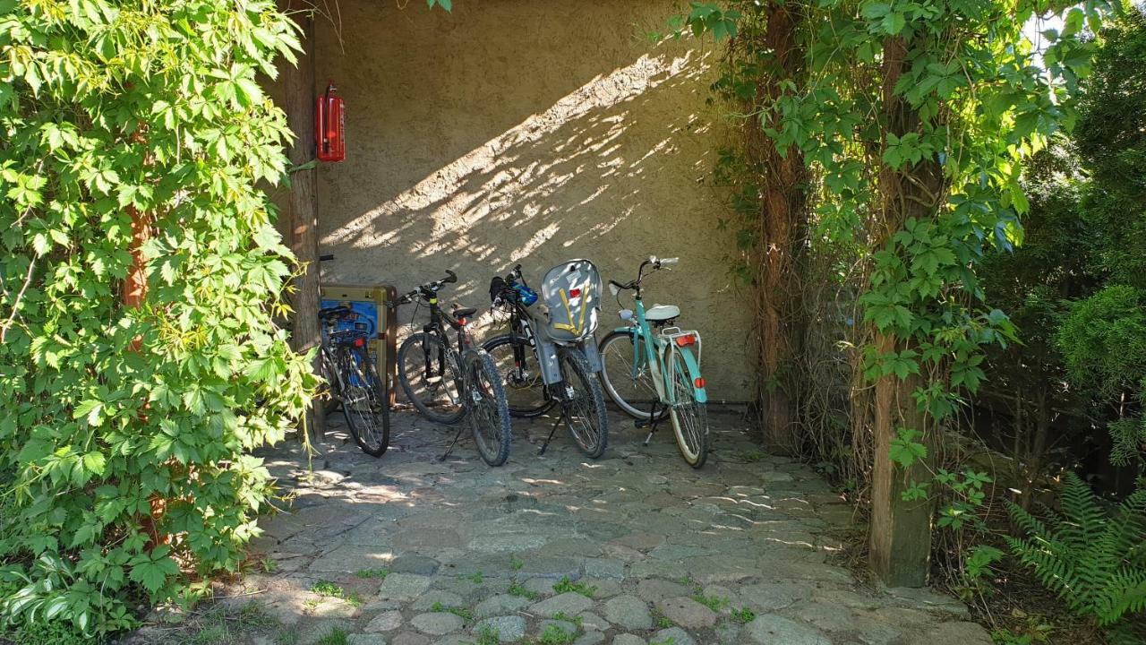 Villa Mlyn Z Pasja *