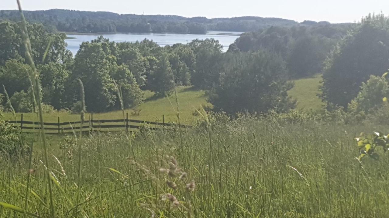 Villa Mlyn Z Pasja *